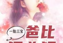 一胎三宝,爸比狠凶猛艾小萌慕博彦慕博盈慕博霆在线章节免费阅读-够力荐小说推荐网