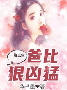 一胎三宝，爸比狠凶猛艾小萌慕博彦慕博盈慕博霆在线章节免费阅读