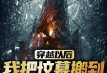 穿越以后,我把坟墓搬到了秦始皇陵小说的最新章节在哪里更新?免费追踪阅读-够力荐小说推荐网