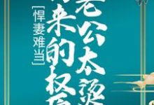 悍妻难当:拐来的权臣老公太烫手小说有没有完整的免费版本在线阅读?-够力荐小说推荐网