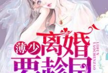 薄少，离婚要趁早这本小说怎么样？免费在线阅读试试-够力荐小说推荐网
