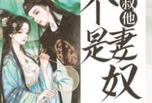 秦萧晗司逸祯司泊熠的小说在哪里看?免费在线阅读皇叔他不是妻奴-够力荐小说推荐网