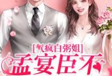 气疯白粥姐，孟宴臣不当舔狗了小说最新章节在哪里可以读到？-够力荐小说推荐网