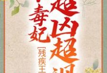 残疾王爷的小毒妃超凶超飒小说，残疾王爷的小毒妃超凶超飒在线阅读-够力荐小说推荐网