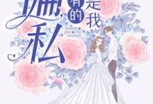 你是我仅有的偏私小说有没有完结版在线？-够力荐小说推荐网