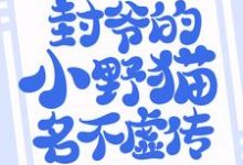 悄然情深:封爷的小野猫名不虚传主角景瓷封央小说完结版章节在线阅读-够力荐小说推荐网