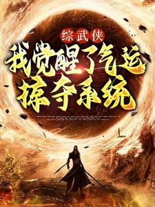 《综武侠：我觉醒了气运掠夺系统》小说主角龙云黄蓉章节章节免费在线阅读