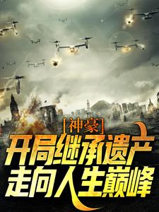 主人公叫李云峰霍颖的小说神豪：开局继承遗产，走向人生巅峰在线阅读章节