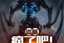叶承凌染小说叫什么（盗墓：疯了吧！你管这叫下墓？免费阅读）-够力荐小说推荐网