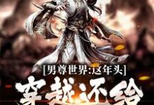 男尊世界:这年头,穿越还给发老婆小说全文阅读需要付费吗?寻找免费资源-够力荐小说推荐网