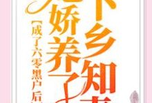 免费看成了六零黑户后,她娇养了下乡知青小说的网站有哪些?-够力荐小说推荐网