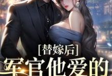 已完结小说《替嫁后，军官他爱的深不可拔》章节在线阅读-够力荐小说推荐网