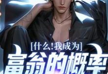 在线寻找什么!我成为富翁的概率是百分之百小说的无删减版本-够力荐小说推荐网