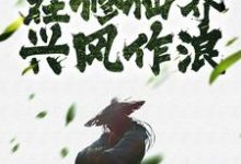主人公叫柳云天的小说哪里免费看-够力荐小说推荐网