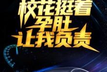 男女主人公叶辰刘伊娜小说被分手后,校花挺着孕肚让我负责章节免费阅读-够力荐小说推荐网