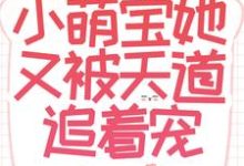 《福气加身:小萌宝她又被天道追着宠》小说大结局免费试读 盼盼小说-够力荐小说推荐网