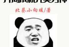 神豪:开局成就完美男神小说全文阅读需要付费吗?寻找免费资源-够力荐小说推荐网