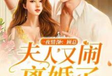 在线寻找夏浅浅顾煜轩的小说,一夜情深:顾总,夫人又闹离婚了免费阅读-够力荐小说推荐网