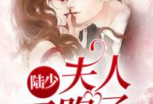 完结版《陆少,夫人又跑了》章节阅读-够力荐小说推荐网