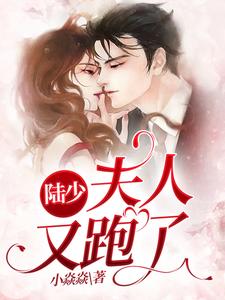 完结版《陆少，夫人又跑了》章节阅读