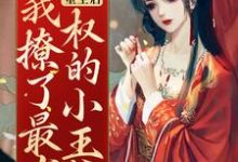 重生后,我撩了最有权的小王爷孟千姿萧久屹小说免费阅读-够力荐小说推荐网