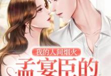 我的人间烟火:孟宴臣的恋爱日记小说阅读,我的人间烟火:孟宴臣的恋爱日记完结版-够力荐小说推荐网