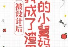 在线寻找喻岁时宴知的小说,被设计后,我成了渣男的小舅妈免费阅读-够力荐小说推荐网
