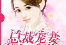 总裁宠妻太霸道 秦安安贺景庭小说在线章节免费阅读-够力荐小说推荐网