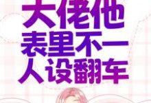 错惹疯批:大佬他表里不一人设翻车小说的免费电子版在哪里可以下载或阅读?-够力荐小说推荐网