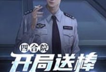 四合院:开局送棒梗进局子小说的无弹窗阅读体验,寻找免费阅读网站-够力荐小说推荐网