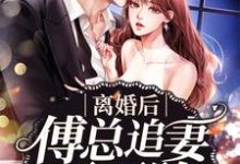 完结版《离婚后傅总追妻不要脸》章节阅读-够力荐小说推荐网