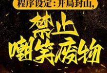 程序设定:开局封山,禁止嘲笑废物小说,程序设定:开局封山,禁止嘲笑废物张三-够力荐小说推荐网