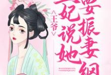 主人公龙卿若东方境小说王爷,王妃说她要振妻纲在线章节阅读-够力荐小说推荐网