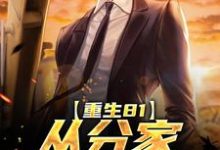 重生81:从分家开始致富小说,重生81:从分家开始致富免费阅读-够力荐小说推荐网