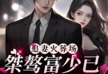 追妻火葬场：桀骜富少已是她裙下臣顾姚姚苏杭景在线章节免费阅读-够力荐小说推荐网