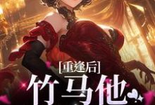 重逢后，竹马他卑微求和小说有没有完结版在线？-够力荐小说推荐网