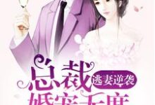 《逃妻逆袭:总裁婚宠无度》小说章节在线试读,《逃妻逆袭:总裁婚宠无度》最新章节目录-够力荐小说推荐网