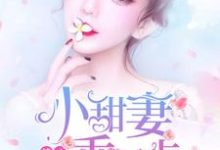 程茵沁傅励浩的小说在哪里看?免费在线阅读傅少凶猛:小甜妻乖一点-够力荐小说推荐网