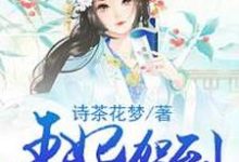 柒绾郡御凌景柳柒为主角的小说好看吗？免费读王妃驾到，腹黑王爷请听命-够力荐小说推荐网