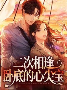 二次相逢：卧底的心尖宝何意林沉小说大结局免费试读