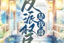 完结版《反派权臣是我哥》在线免费阅读-够力荐小说推荐网