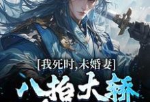 主角李辰风苏瑶小说我死时,未婚妻八抬大轿和皇子成亲免费阅读-够力荐小说推荐网
