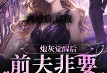 离婚后,总裁前夫非要给我跳舞免费阅读,离婚后,总裁前夫非要给我跳舞章节目录-够力荐小说推荐网