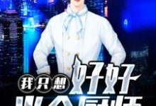 我只想好好当个厨师小说完结了吗?在哪里可以免费读到?-够力荐小说推荐网