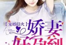 黎浅陆天擎小说《宠婚似火:娇妻,好孕到!》在线阅读-够力荐小说推荐网