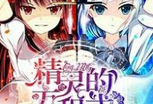 精灵的方程式凌枫蕾莉亚白雪,精灵的方程式章节在线阅读-够力荐小说推荐网