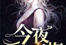 今夜爱你无悔小说有没有完结版在线?-够力荐小说推荐网