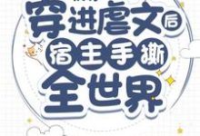 《快穿：穿进虐文后宿主手撕全世界》全集免费在线阅读（顾黎轮回盘）-够力荐小说推荐网
