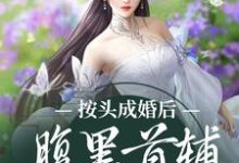 姜晚禾谢曜小说叫什么(按头成婚后,腹黑首辅宠妻为上免费阅读)-够力荐小说推荐网
