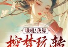主人公苏云绮小说哦吼!我靠控梦玩转平行世界在线章节阅读-够力荐小说推荐网